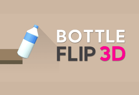Bottle Flip